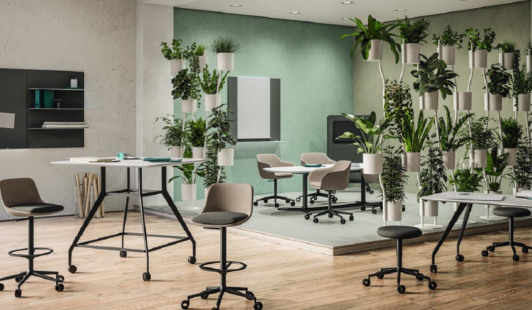 7 bienfaits des plantes au bureau